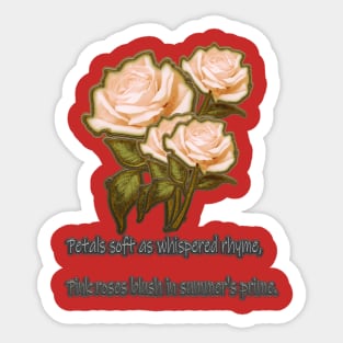 Pink roses blush Sticker